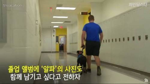 미국 한 고등학교 졸업앨범에 실린 댕댕이