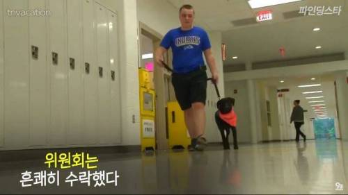 미국 한 고등학교 졸업앨범에 실린 댕댕이
