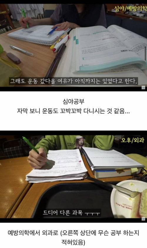 개빡센 시험기간 의대생 브이로그 공부량 수준