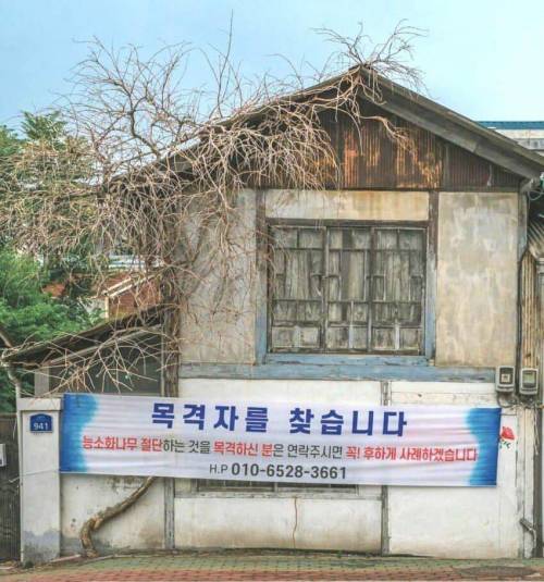 온순한 식물갤러들이 대분노한 사건