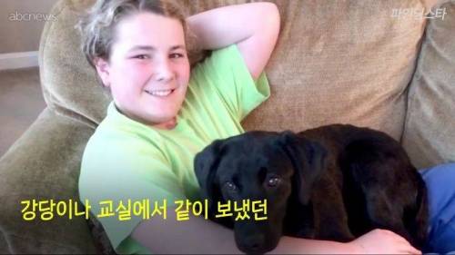 미국 한 고등학교 졸업앨범에 실린 댕댕이