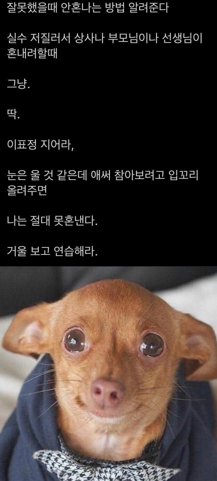 혼이 날 때 써먹을 수 있는 표정.jpg