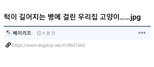 턱이 길어지는 병에 걸린 고양이.jpg