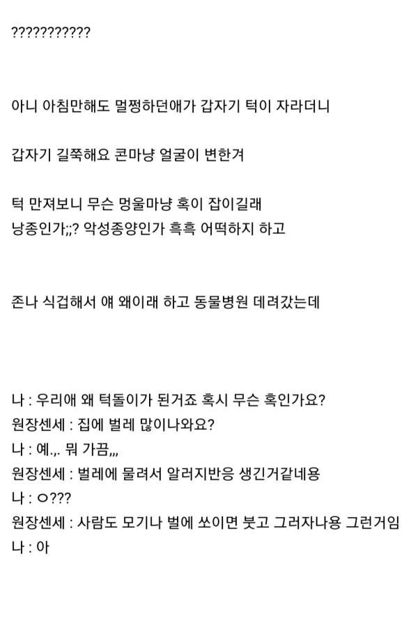 턱이 길어지는 병에 걸린 고양이.jpg