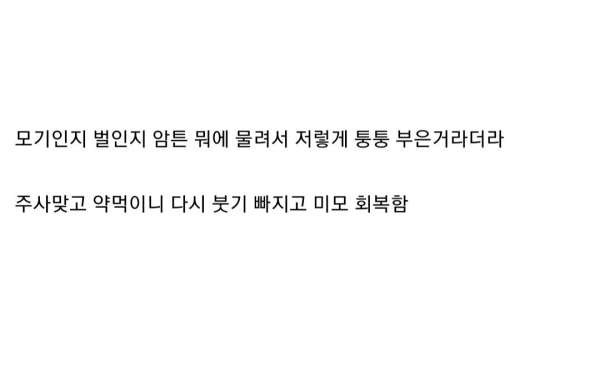 턱이 길어지는 병에 걸린 고양이.jpg