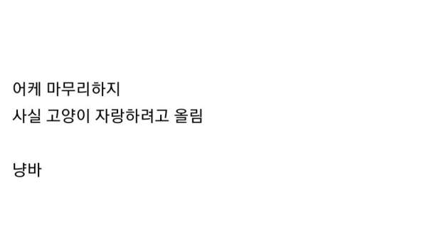 턱이 길어지는 병에 걸린 고양이.jpg