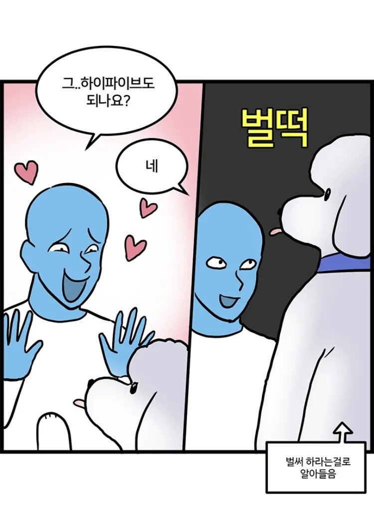 스탠다드 푸들의 위엄.jpg