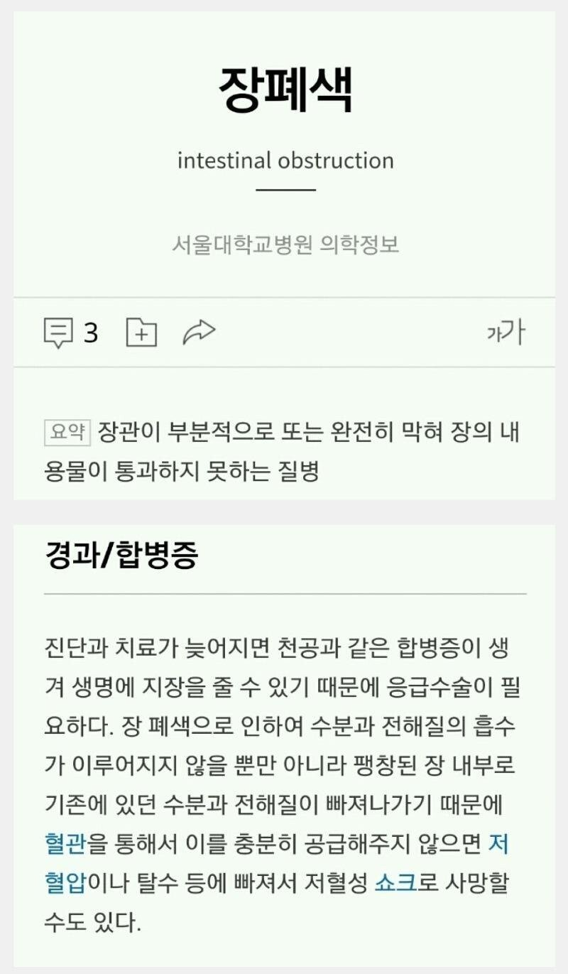 미국식 다이어트
