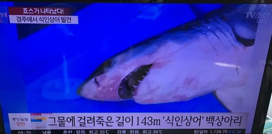 동해가 위험한 이유