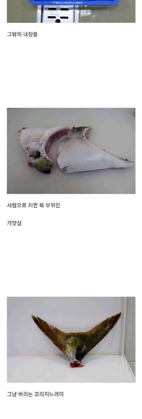 횟집 실장이 평소 먹는 음식 수준