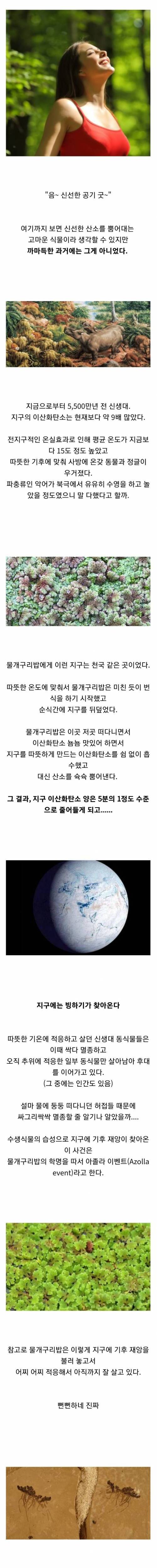 생태계 허접이 불러온 전지구적 대재앙.jpg