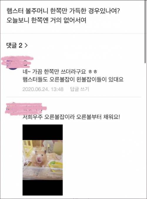 햄스터는 주로쓰는 볼이 있다는거 아셨음?