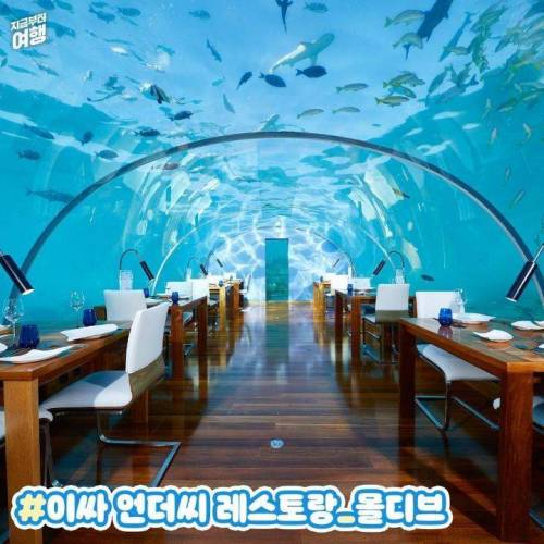 퐁당 빠지고 싶은 세계 이색 청량 여행지.jpg