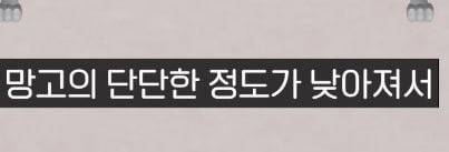 국내에 들어오는 동남아 과일들이 현지에 비해 맛이없는 이유