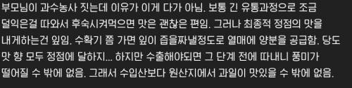 국내에 들어오는 동남아 과일들이 현지에 비해 맛이없는 이유