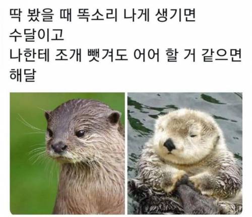 해달수달 구분법