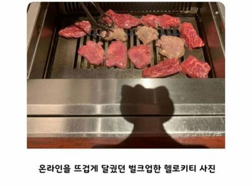 고기굽던 헬로키티 정체밝혀짐