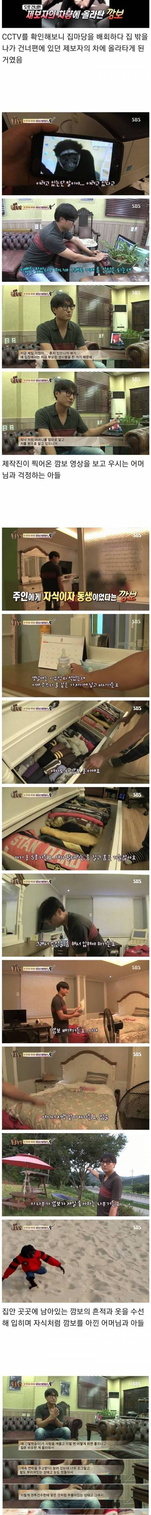 훌쩍훌쩍 동물농장 슬픈 에피소드