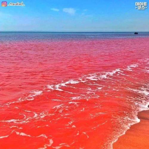 바다도 모래도 온통 빨간색 호르무즈 섬