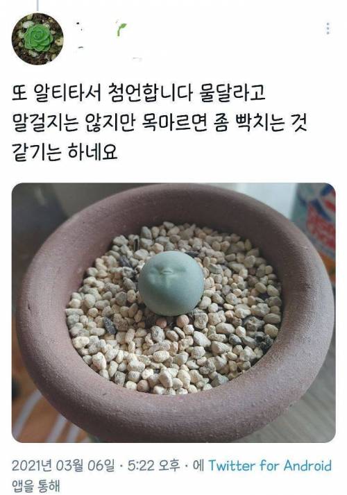 목마르면 내 귓가에 물 줘...하고 속삭일 거 같...