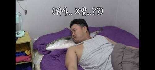 친구 배게를 방어로 바꿔보았다