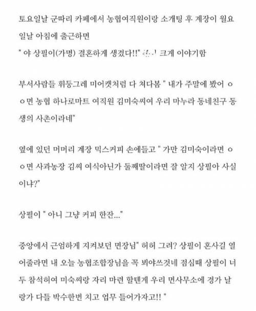 시골 공무원 소개팅 후기