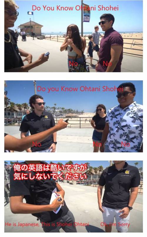 일본인들이 충격 먹은 오타니 쇼헤이의 미국 인지도 ㄷㄷㄷ