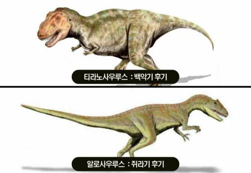 조류와 관련된 재미 있는 사실