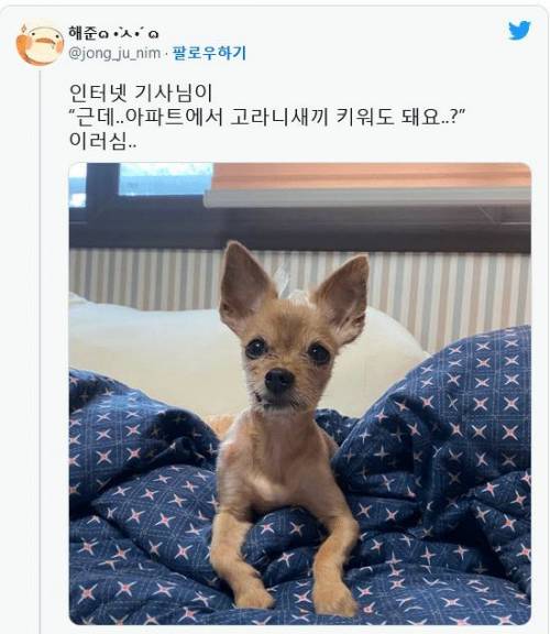 근데 아파트에서 고라니새끼 키워도 돼요?