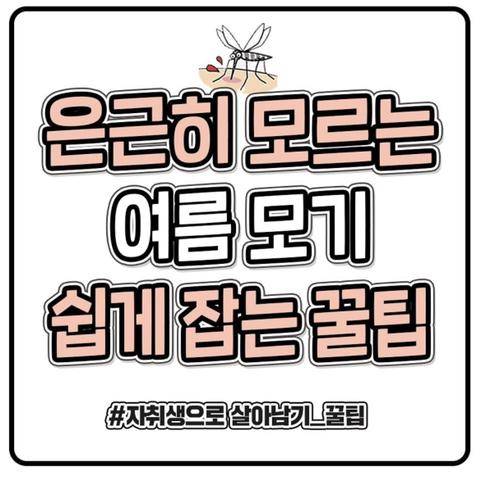 은근히 모르는 여름 모기 쉽게 잡는 꿀팁