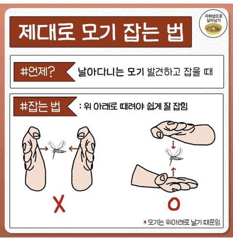 은근히 모르는 여름 모기 쉽게 잡는 꿀팁