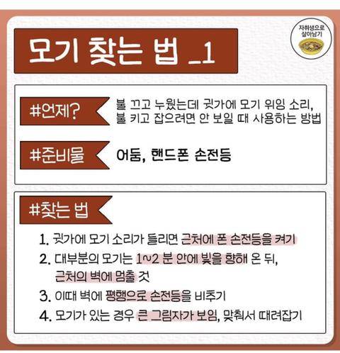 은근히 모르는 여름 모기 쉽게 잡는 꿀팁