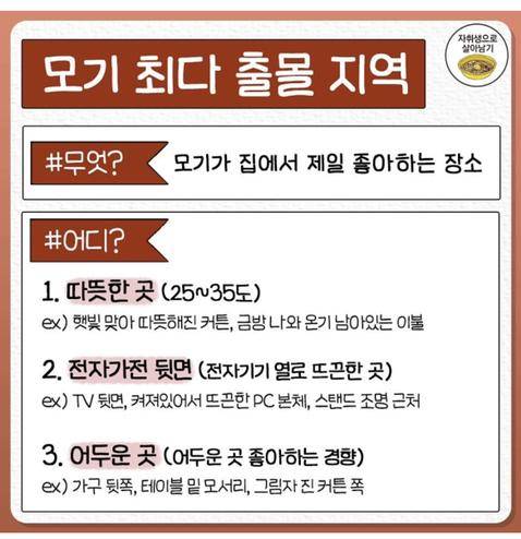 은근히 모르는 여름 모기 쉽게 잡는 꿀팁