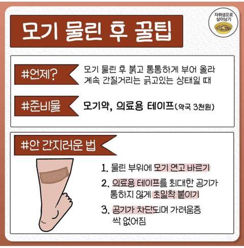 은근히 모르는 여름 모기 쉽게 잡는 꿀팁