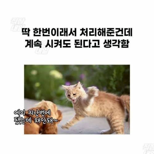 싱글벙글 회사에서 윗사람들이 흔히 하는 착각들....jpg