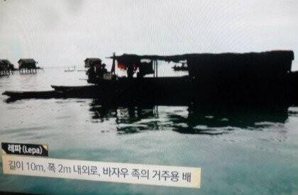 지구상에 실존하는 어인족