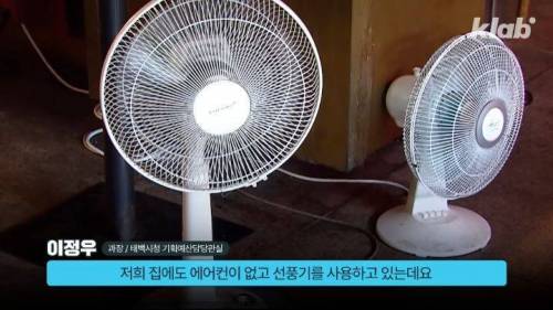 대한민국에서 가장 시원한 도시