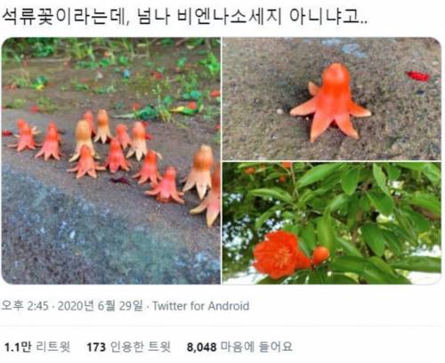 길에 버려진  비엔나 소세지.jpg
