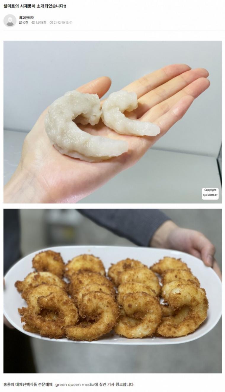 배양육 시장 발전 최신근황.jpg