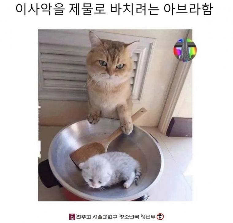 요즘 천주교 드립