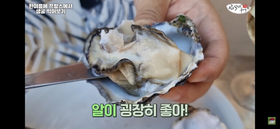 수산물 전문 유튜버가 비싼 해외 굴 먹어보고 느낀점.jp