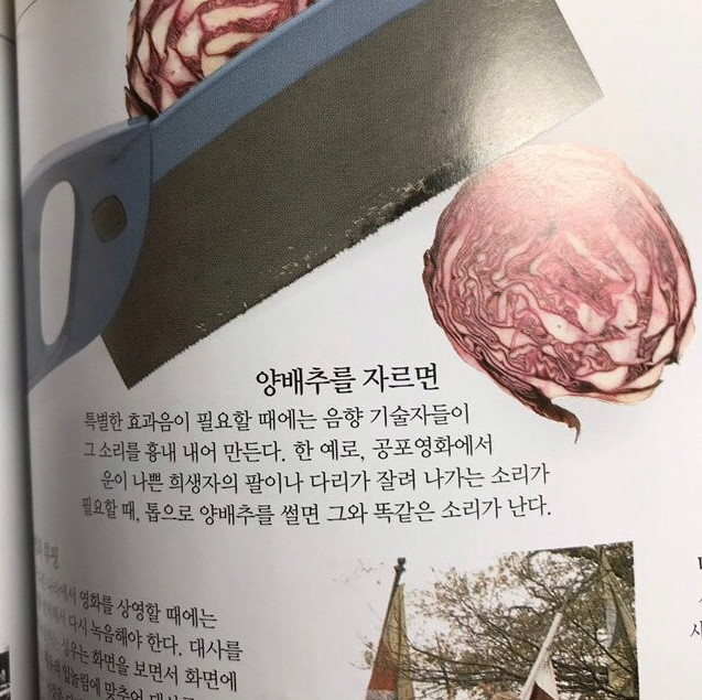 사람 팔 다리를 자를 때 나는 소리.jpg