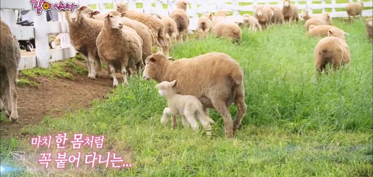 아들의 유골함 옆에 자신의 자리를 마련해 놓은 배우 박원숙