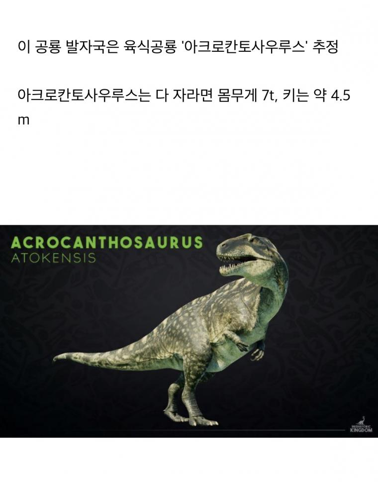 가뭄에 美텍사스 계곡 바닥 드러내자 공룡 발자국 발견