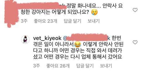 수의사가 누군가는 양심의 가책을 느끼길 바라며 그린 만화