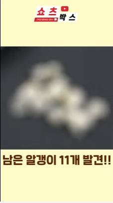 옥수수수염 개수=알갱이 수? 직접 털어봤습니다 jpg