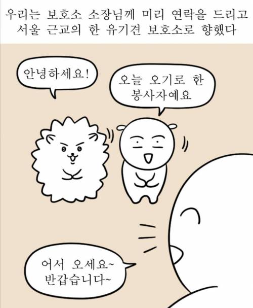 유기견 보호소 위치 안알려주는 이유