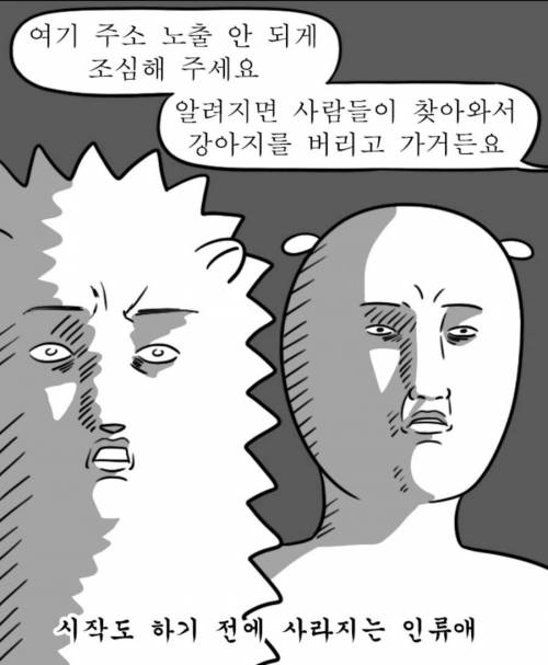 유기견 보호소 위치 안알려주는 이유
