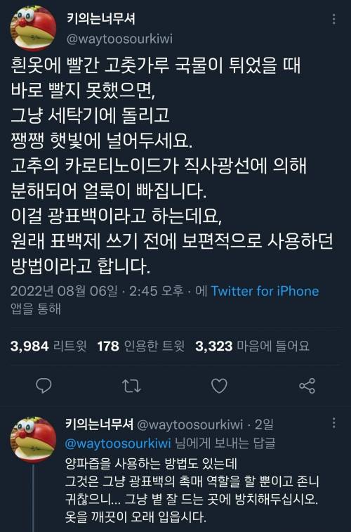 지식과 지혜의 차이점.twt