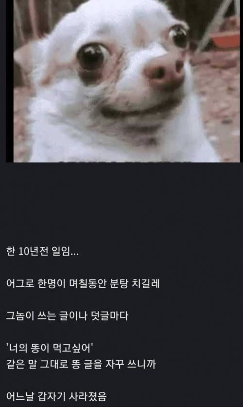 어그로 쫓아내는 법